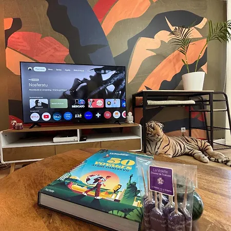 T2 Canal Du Midi Terrasse Et Deco Apaisante Appartement Toulouse