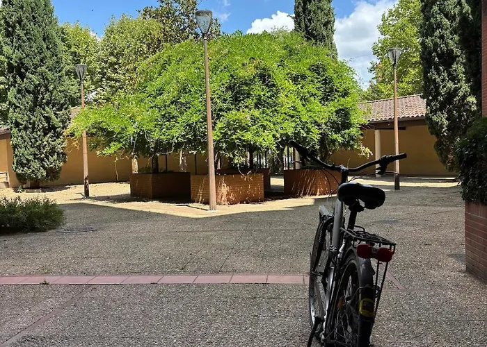 T2 Canal Du Midi Terrasse Et Deco Apaisante Appartement