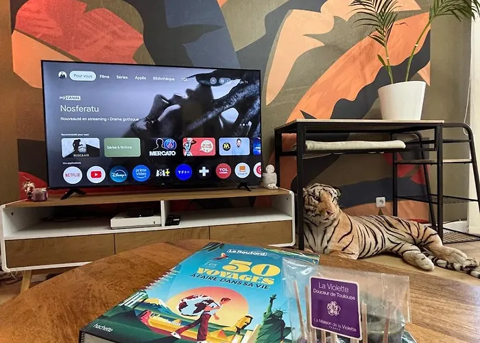 T2 Canal Du Midi Terrasse Et Deco Apaisante Appartement Toulouse